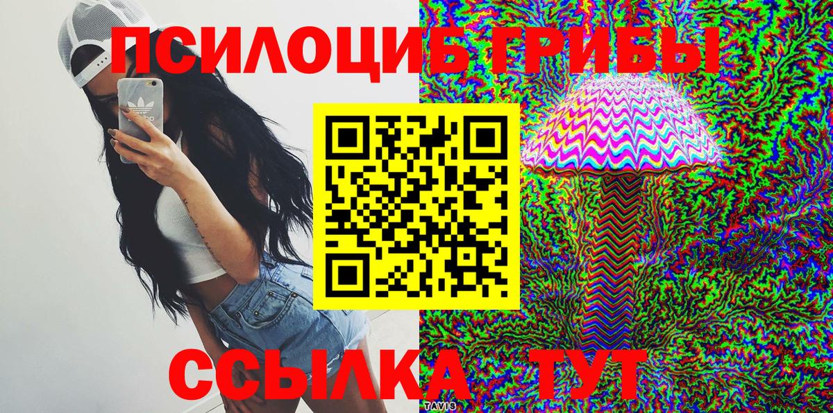 Псилоцибиновые грибы прущие грибы Чапаевск